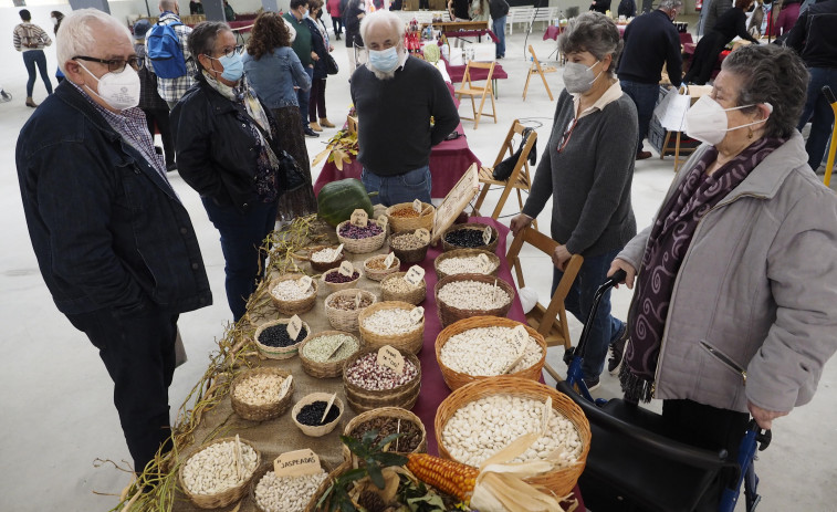 Moeche celebra a Feira das Fabas con variadas propuestas en el Mercado de San Ramón