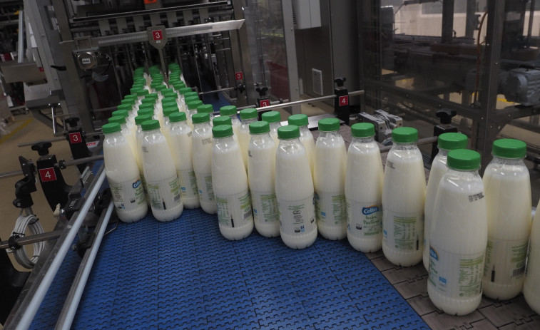 Condena a Leche Celta por negarse a abrir el protocolo de acoso tras interponer denuncia
