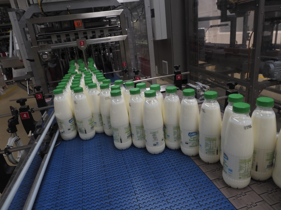 Condena a Leche Celta por negarse a abrir el protocolo de acoso tras interponer denuncia