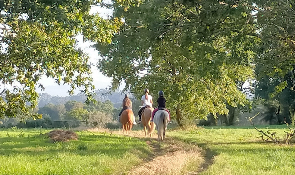 Los caballos de Mar y Sara conviven en semilibertad con sus perros, gatos y gallinas  cedida