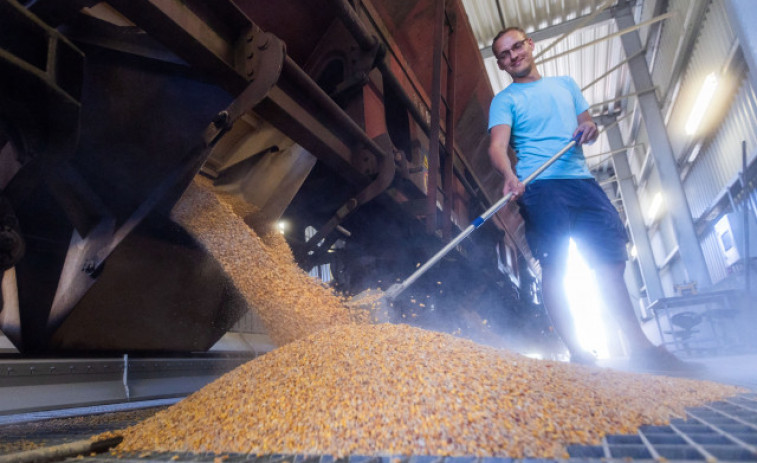 Rusia reactiva el pacto para exportar cereales de Ucrania tras recibir garantías
