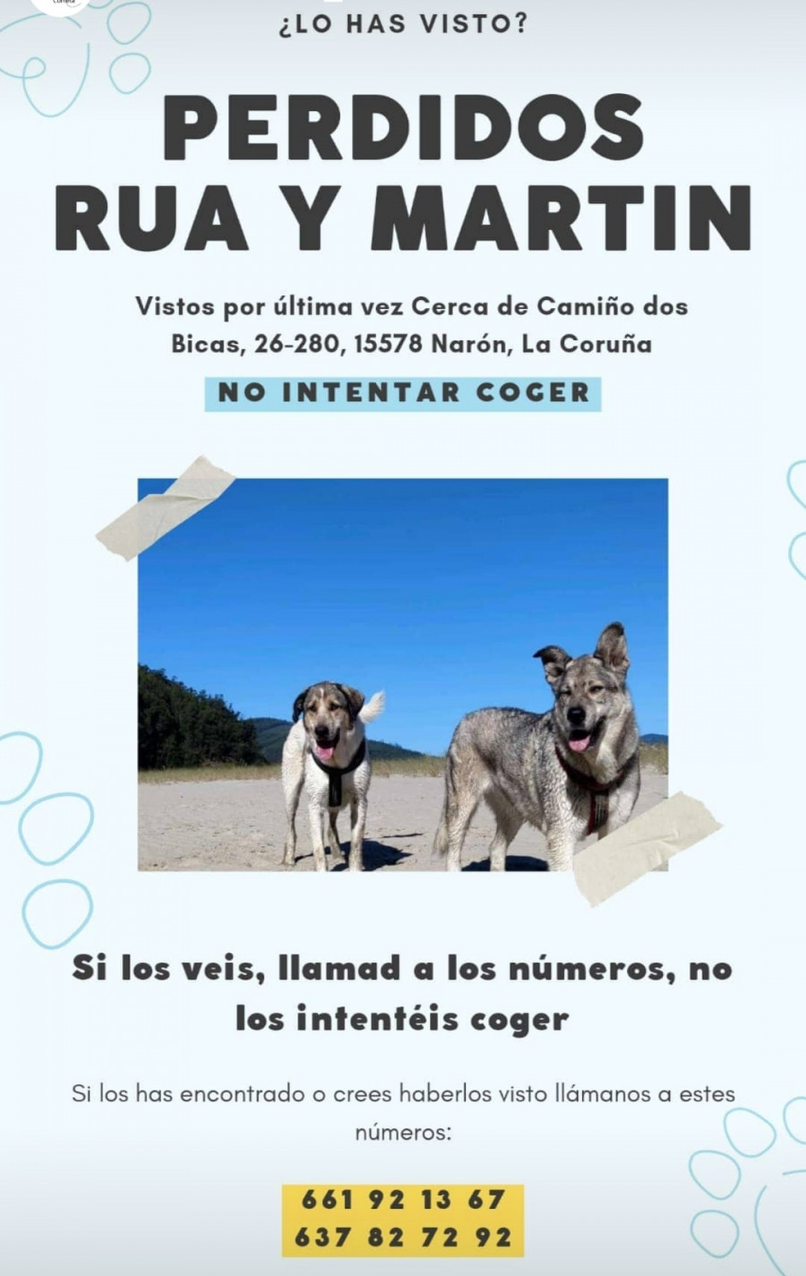 Aparecen dos perros perdidos en Narón al escaparse de su residencia