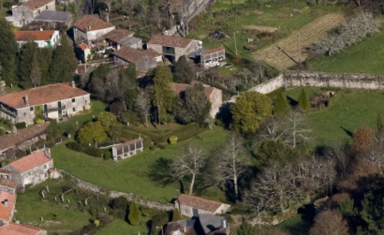 Galicia cuenta con 182 monumentos vegetales, entre ellos la camelia del Pazo de Lens que tiene un valor de 1,6 millones