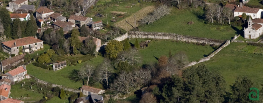 Galicia cuenta con 182 monumentos vegetales, entre ellos la camelia del Pazo de Lens que tiene un valor de 1,6 millones