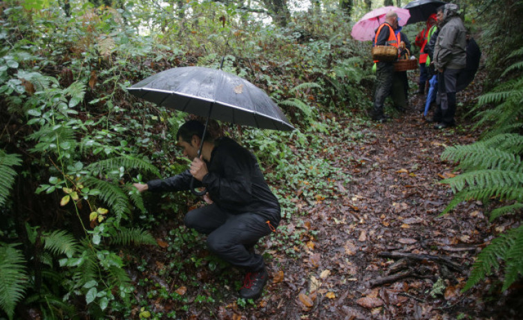 Un frente frío dejará lluvias este domingo en toda Galicia