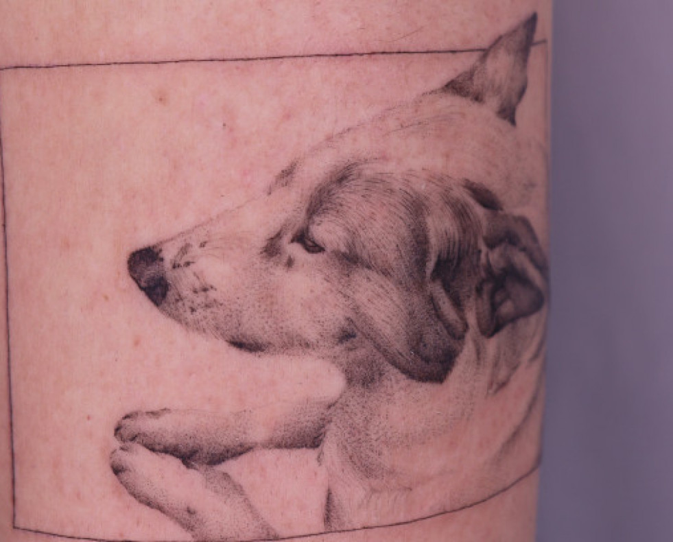 LPZINKtatuajeperro