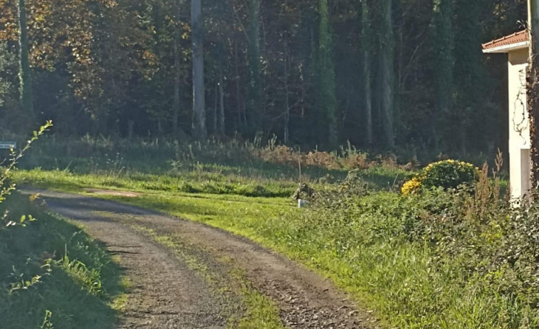 Ortigueira licita la mejora de varios caminos en la zona rural por más de 100.000 euros