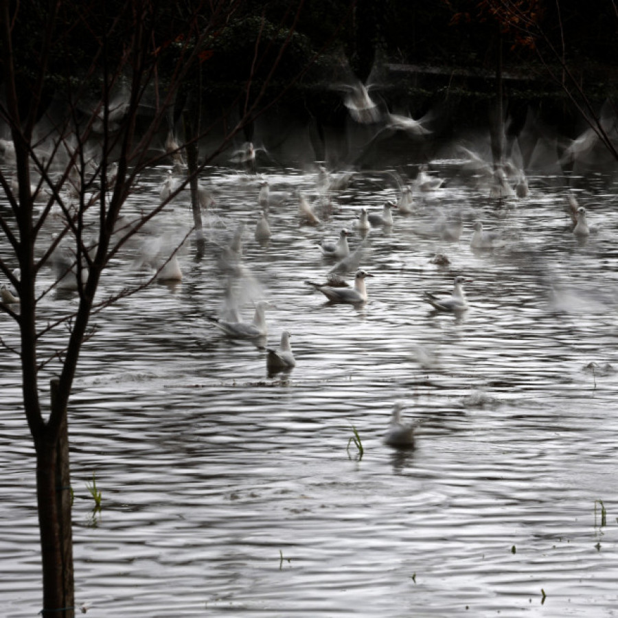 Las inundaciones en la comarca de O Salnés casi ya ni son noticia