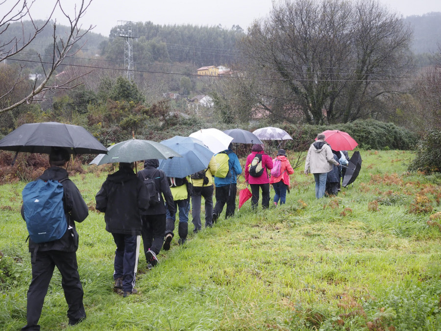 El Club de Montaña Ferrol mantuvo su marcha de Año Nuevo a pesar de la lluvia