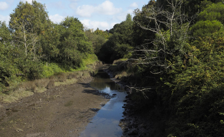 Siete empresas optan a la ejecución del saneamiento del río da Sardiña