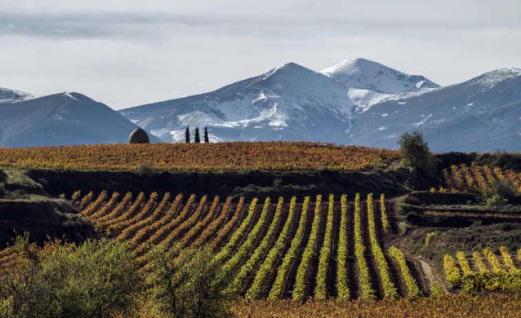 Rioja acogerá los premios World’s Best Vineyards 2023