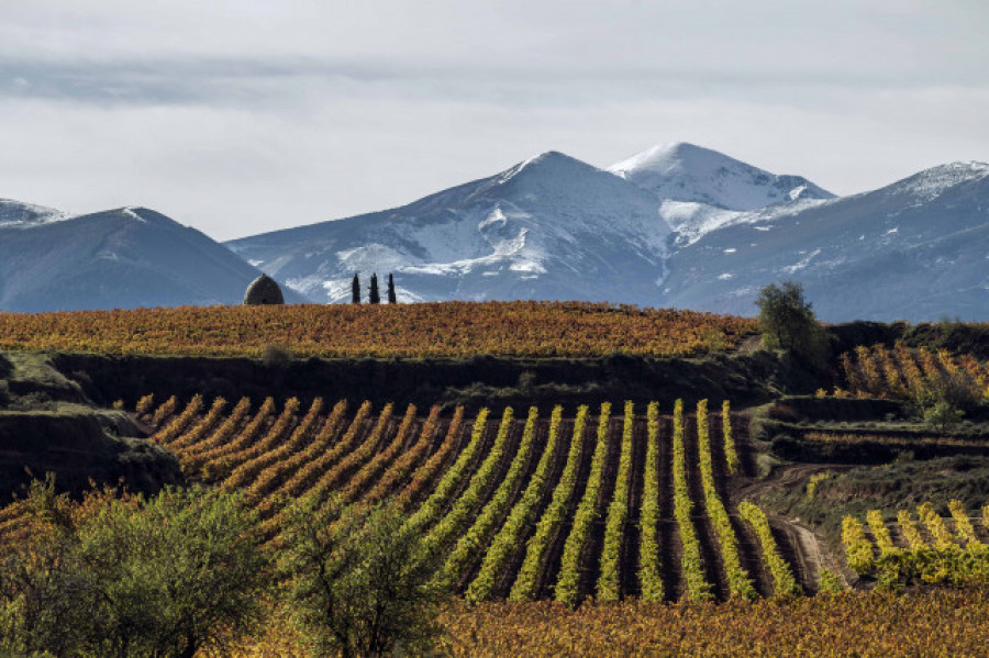 Rioja acogerá los premios World’s Best Vineyards 2023