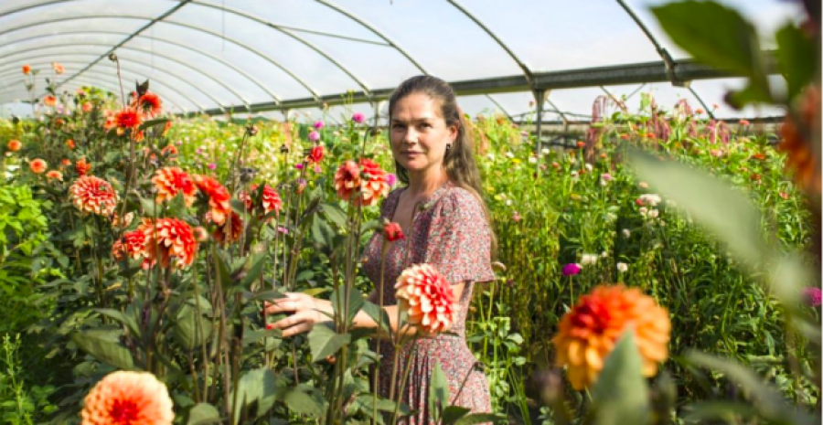 Floradeira, flores de temporada online desde Galicia a tu casa