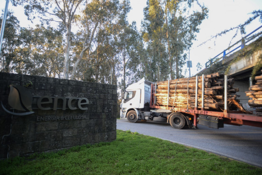 Ence avanza en la tramitación de su planta en As Pontes