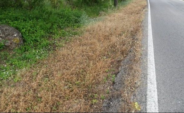 Encuentran tirado en la carretera de madrugada a un hombre de avanzada edad