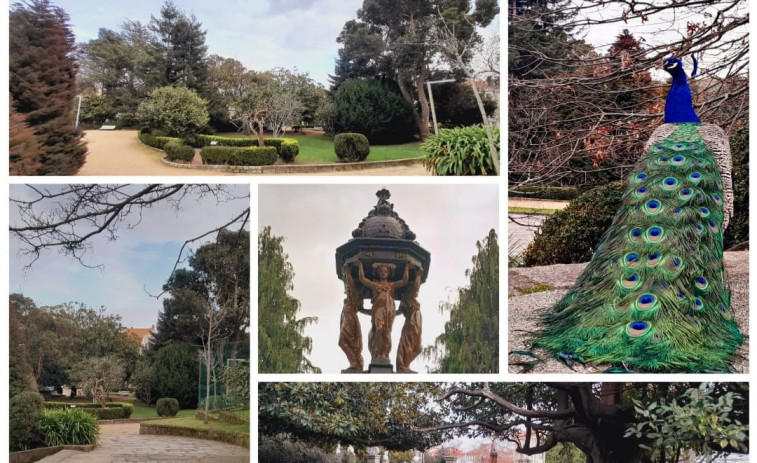 Muchas maneras de celebrar San Valentín en Ferrol