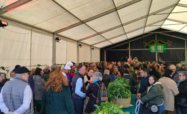 Las heladas mermaron al protagonista de la Feira do Grelo de As Pontes