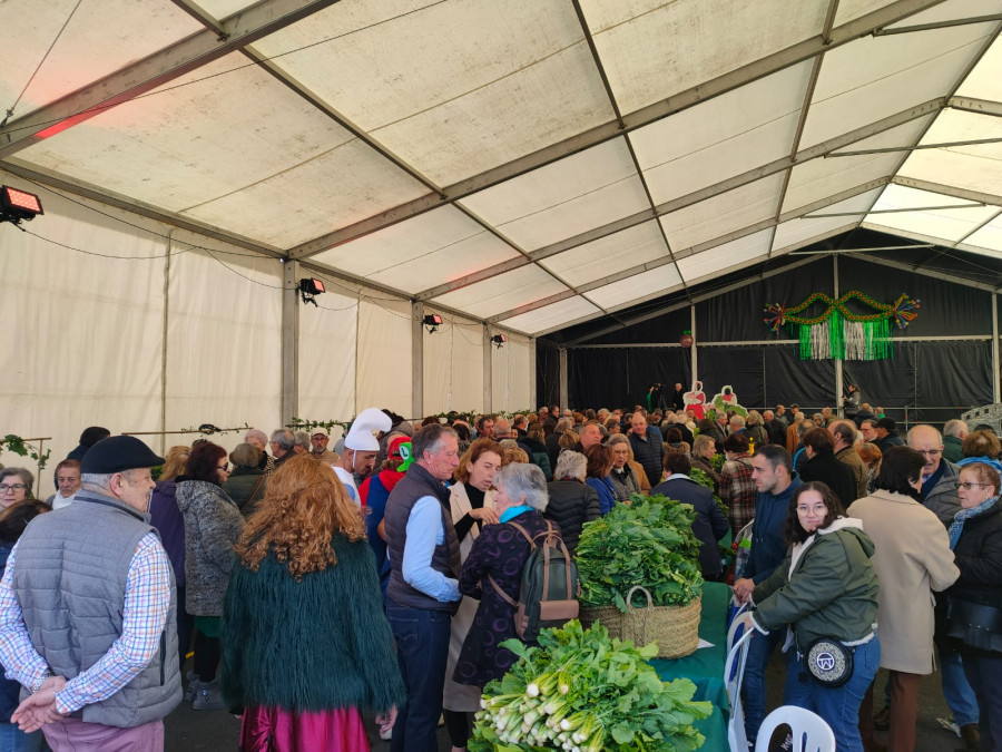 Las heladas mermaron al protagonista de la Feira do Grelo de As Pontes