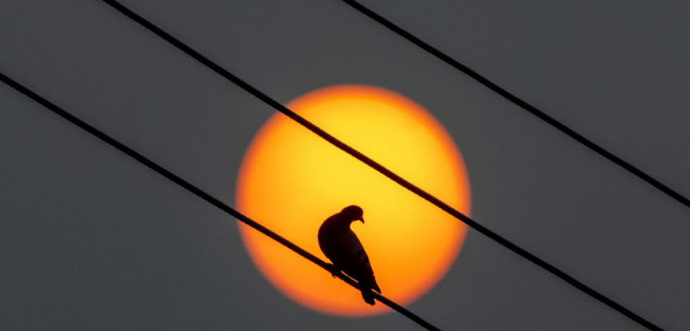 El precio de la luz este domingo sube y queda en 80 euros/MWh