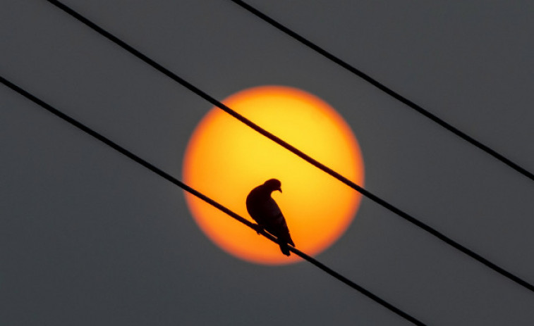 El precio de la luz este domingo sube y queda en 80 euros/MWh