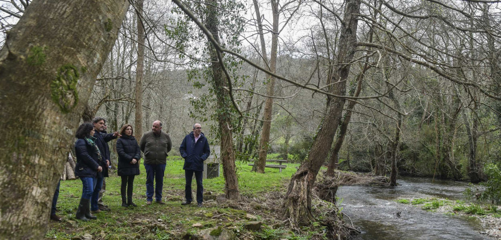 El proyecto “Mil ríos” elimina del río Mera, en Ortigueira, la vegetación herbácea invasora