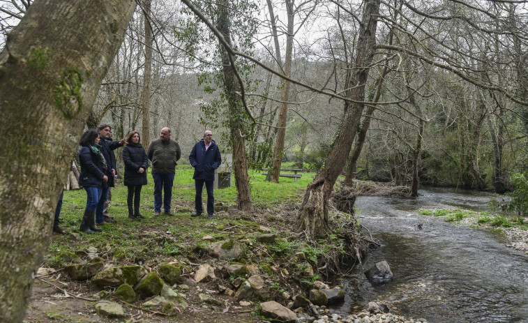 El proyecto “Mil ríos” elimina del río Mera, en Ortigueira, la vegetación herbácea invasora