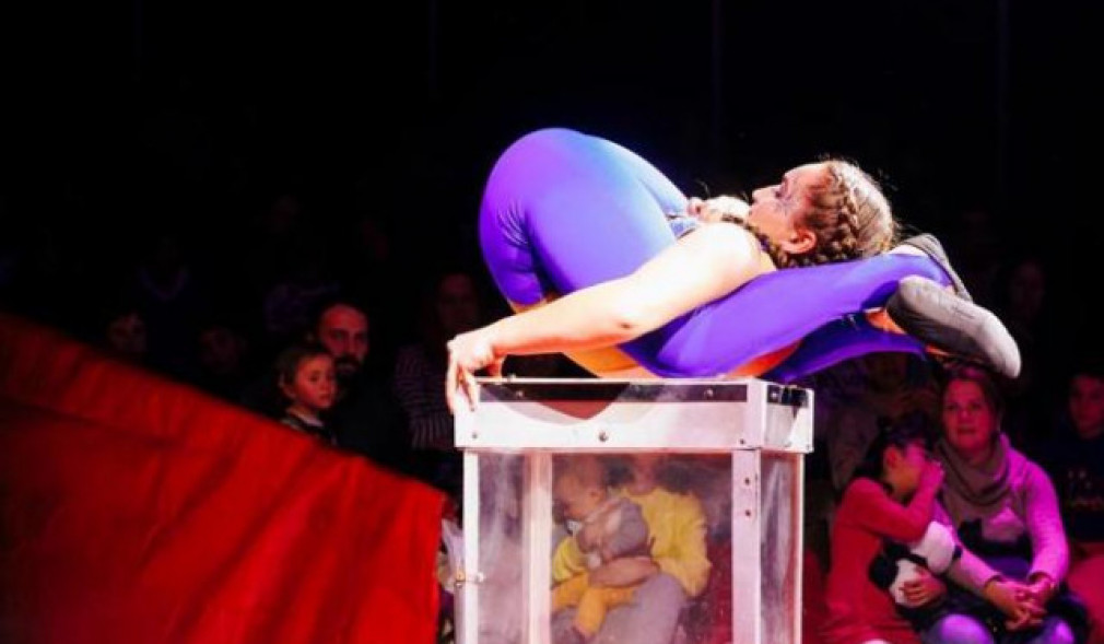 Global Circus: el circo tradicional en versión mejorada