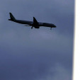 ¿Es un pájaro, un avión o Donald Trump?