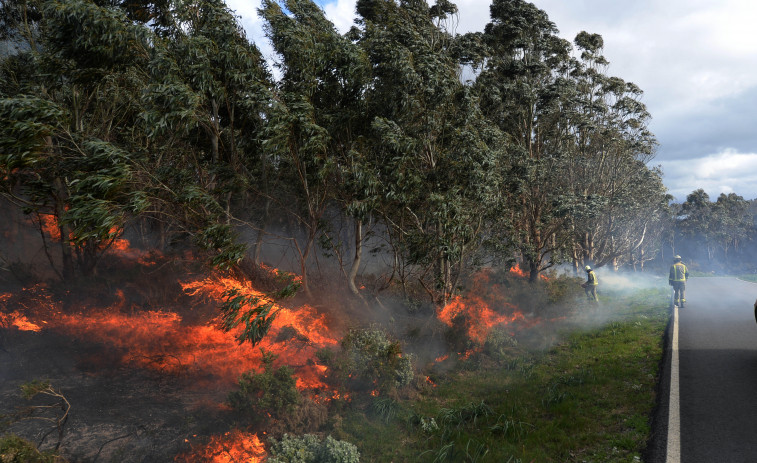 Un incendio forestal calcina una docena de hectáreas de monte en la parroquia ferrolana de Brión