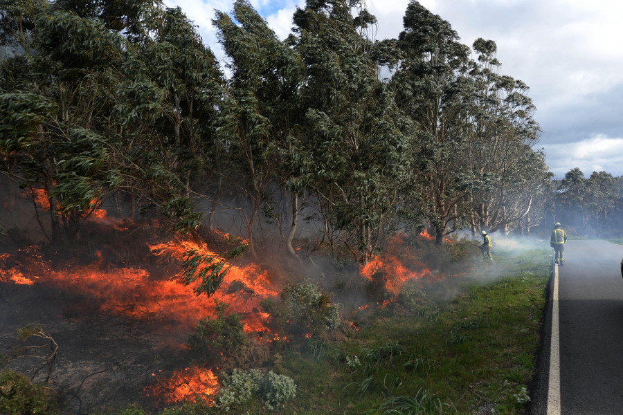 Un incendio forestal calcina una docena de hectáreas de monte en la parroquia ferrolana de Brión
