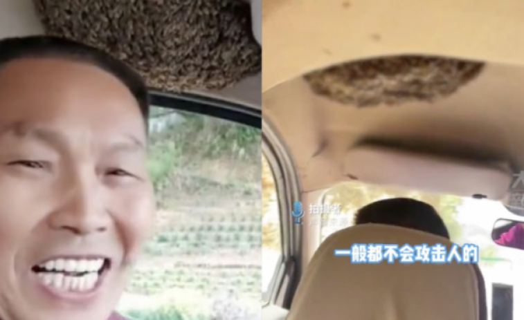 Un hombre que conduce con una colmena de abejas en su coche causa sensación en China
