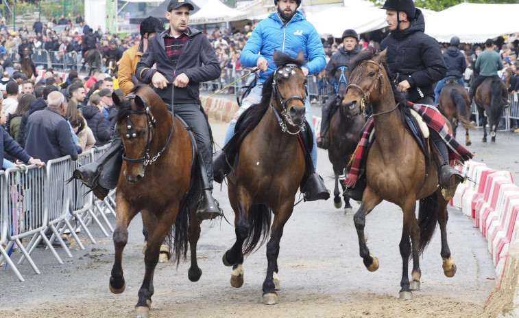 El mal tiempo no logra arruinar la edición más exitosa de la tradicional Feira de Cabalo de Moeche