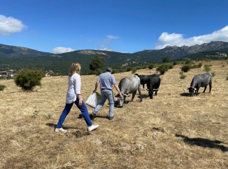 El Gobierno rebaja el 25% en el IRPF para ayudar a 800.000 agricultores y ganaderos por la sequía