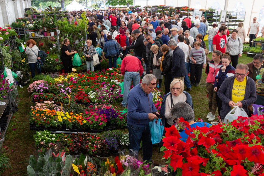 La Feira da plantación vuelve este domingo a San Sadurniño con 46 puestos