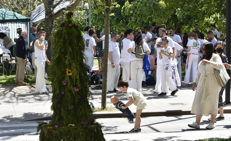 A festa dos Maios florece en Canido