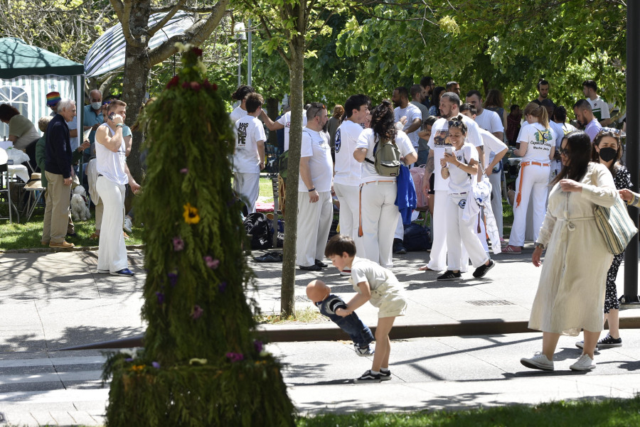 A festa dos Maios florece en Canido