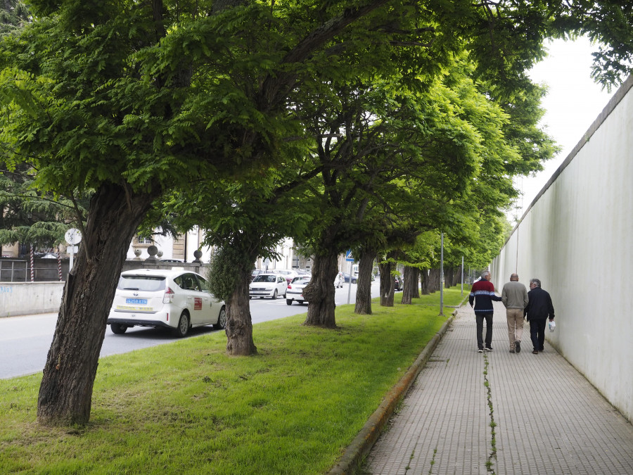 El Concello rechaza eliminar zonas verdes para que aparquen los coches