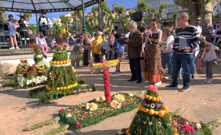 Música y arte floral en el colorido concurso de “maios” de Pontedeume