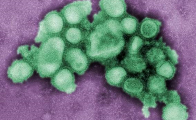 Elaboran un nuevo plan para la OMS para afrontar futuras pandemias de gripe