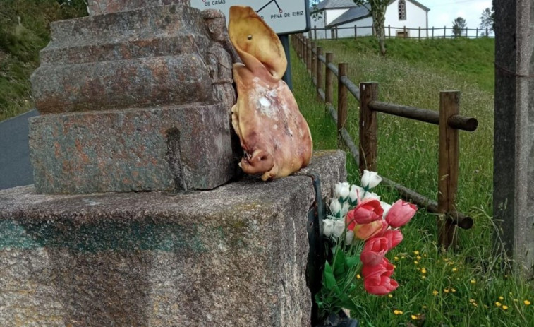 Aparecen nuevas cabezas de cerdo abandonadas como las de As Pontes