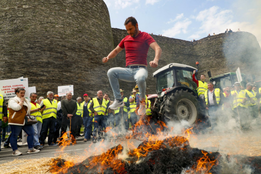 Decenas de ganaderos protestan en Lugo por su situación