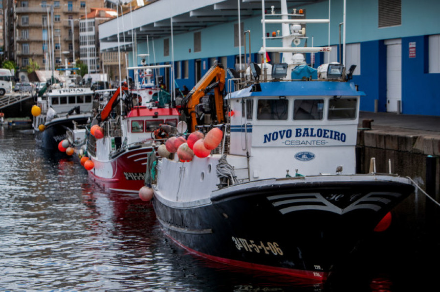 Planas defiende la pesca de arrastre de fondo y contradice así el plan de la Unión Europea