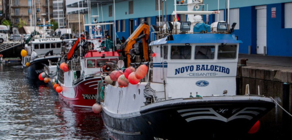 Planas defiende la pesca de arrastre de fondo y contradice así el plan de la Unión Europea