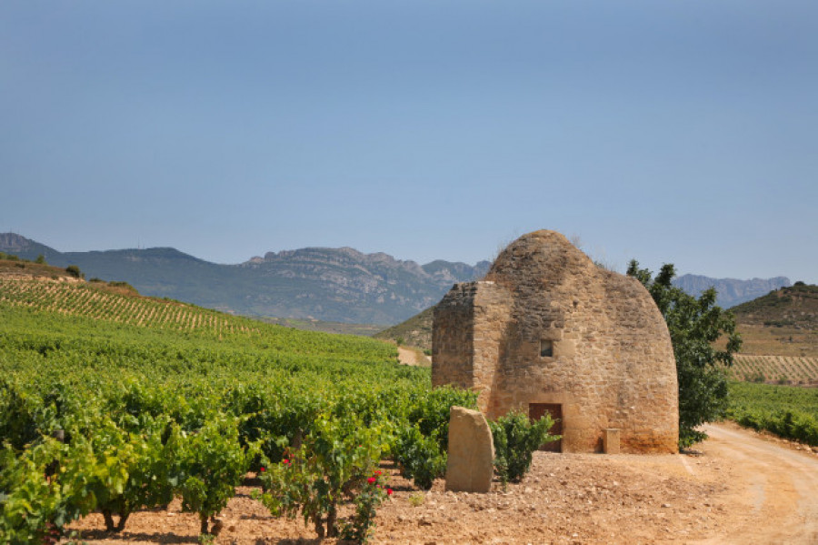 Hijos de Rivera comercializará en Galicia y Portugal los vinos de Sierra Cantabria