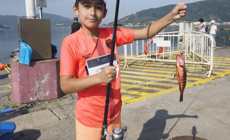 Alrededor de cuarenta niños de entre 7 y 13 años se asoman a la pesca de la mano del Puerto