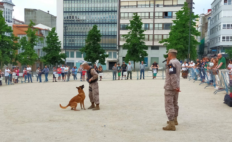 La Unidad Cinológica del Tercio Norte de Ferrol exhibe sus capacidades en Armas