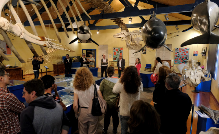 El Museo de Historia Natural incrementa sus visitas con respecto a 2023