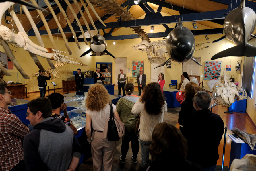 El Museo de Historia Natural incrementa sus visitas con respecto a 2023
