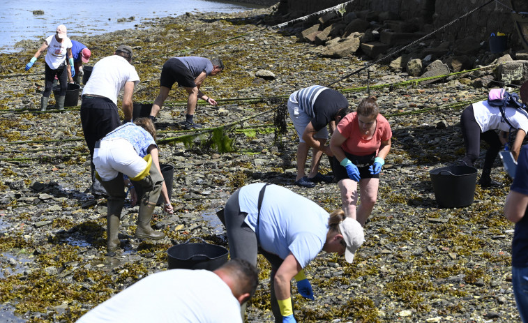 Cerca de 80 mariscadores a pie participarán este año en la limpieza de basura marina