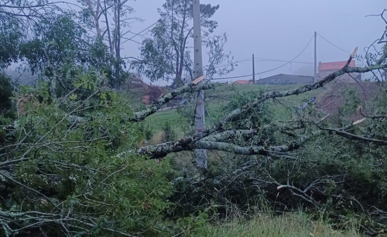 Un supuesto breve tornado arranca varios árboles y cubiertas en Monfero